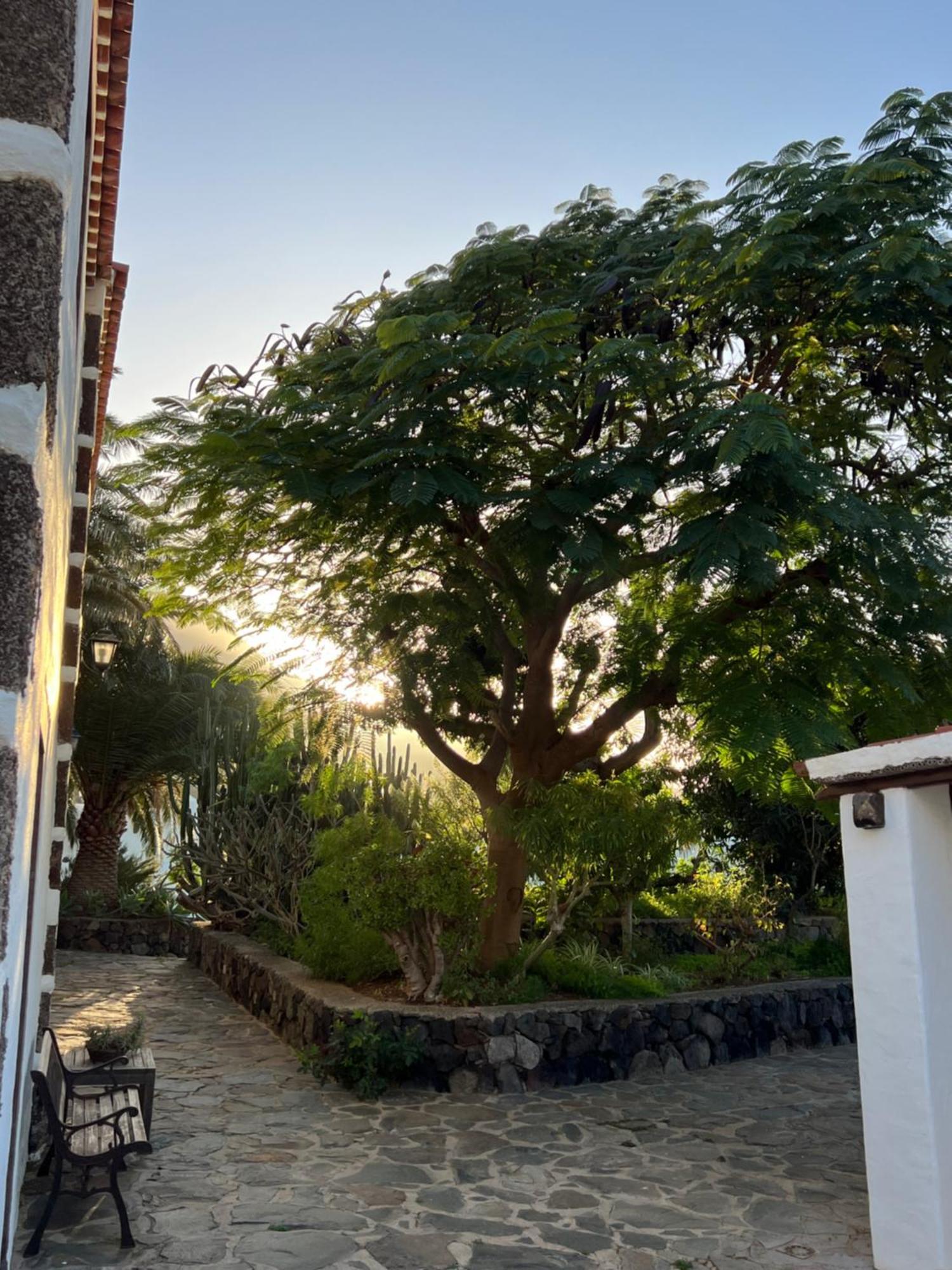 Finca Exclusiv La Mareta Agaete  Dış mekan fotoğraf