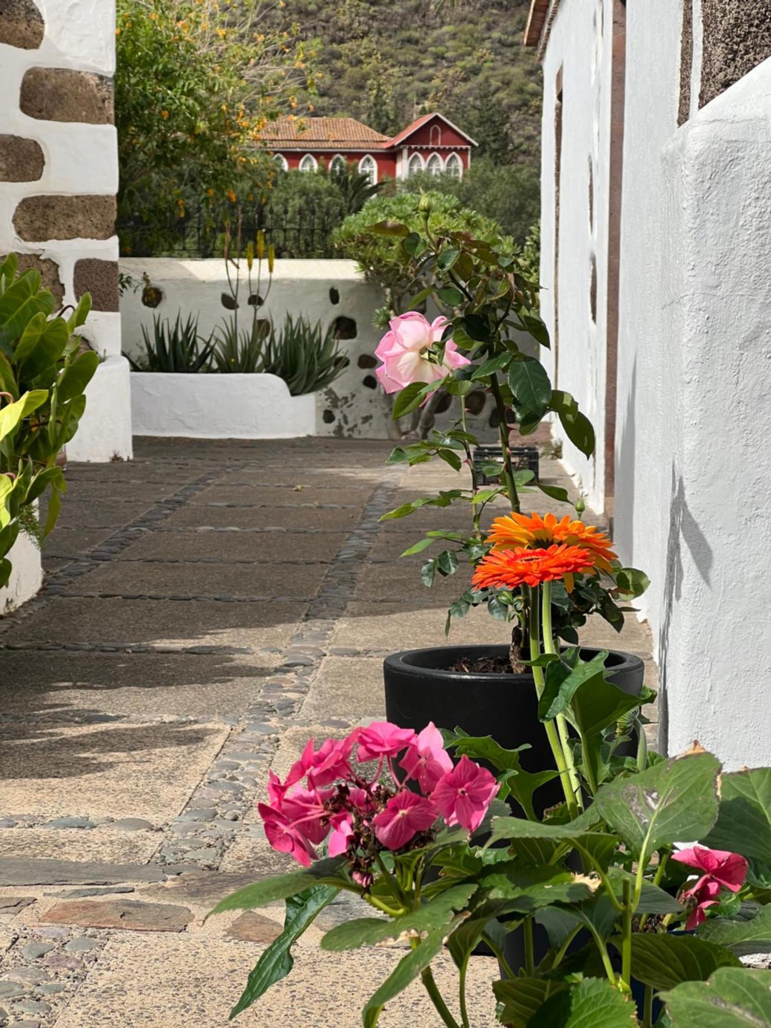 Finca Exclusiv La Mareta Agaete  Dış mekan fotoğraf