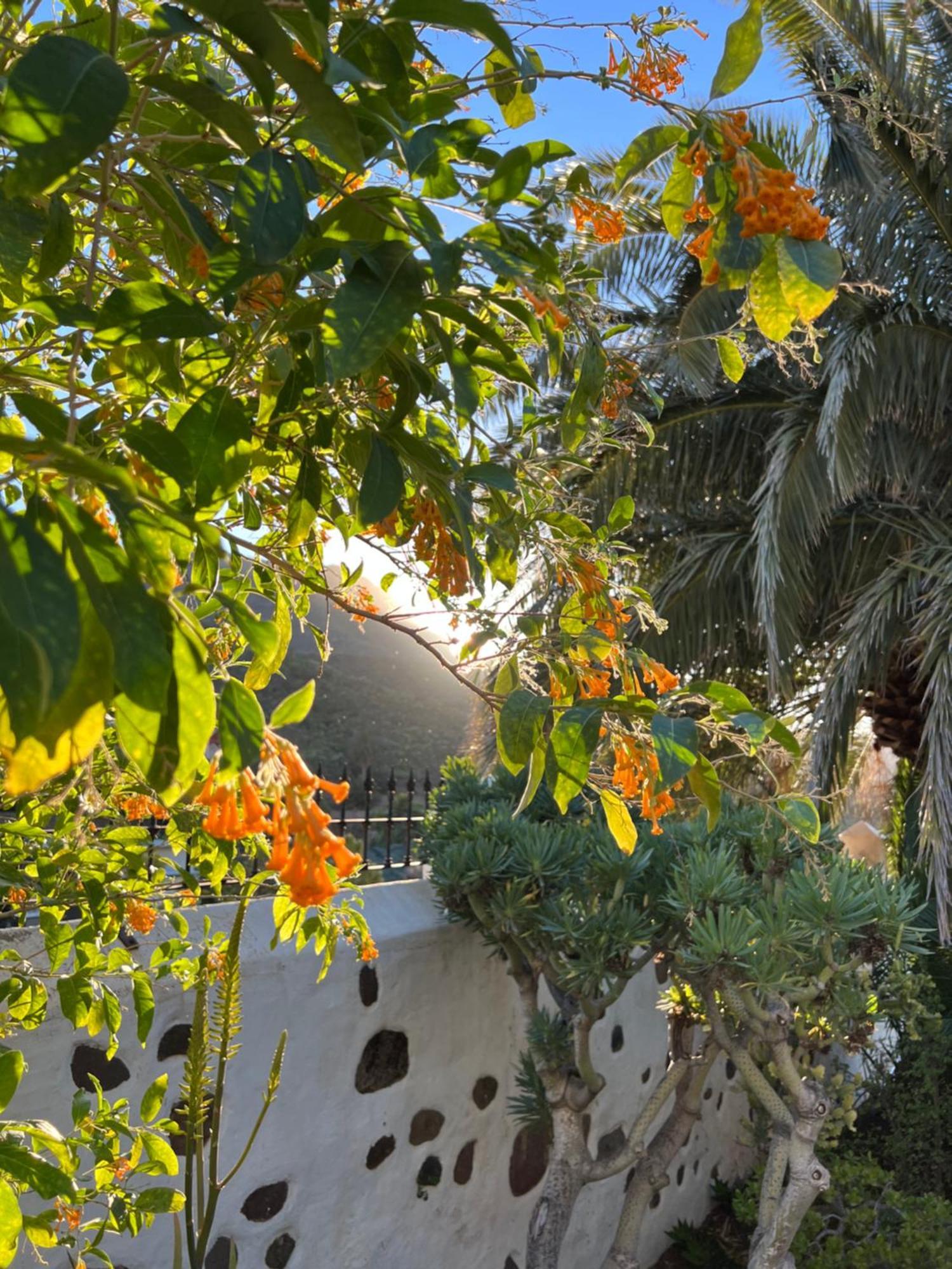 Finca Exclusiv La Mareta Agaete  Dış mekan fotoğraf