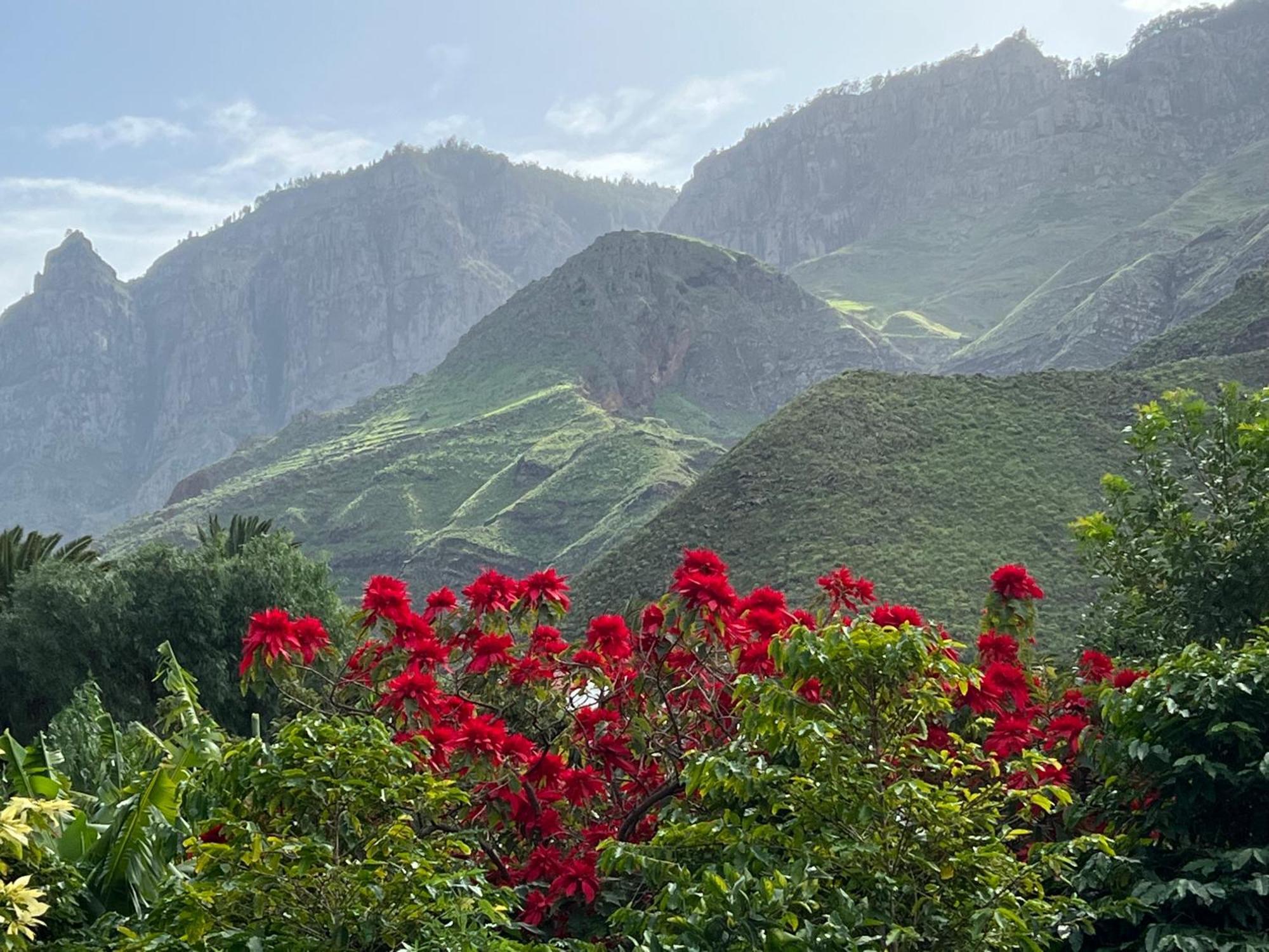 Finca Exclusiv La Mareta Agaete  Dış mekan fotoğraf